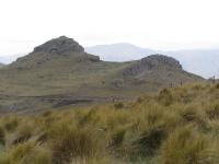 Albums/20060200-New Zealand 2006/20060201-Christchurch/43